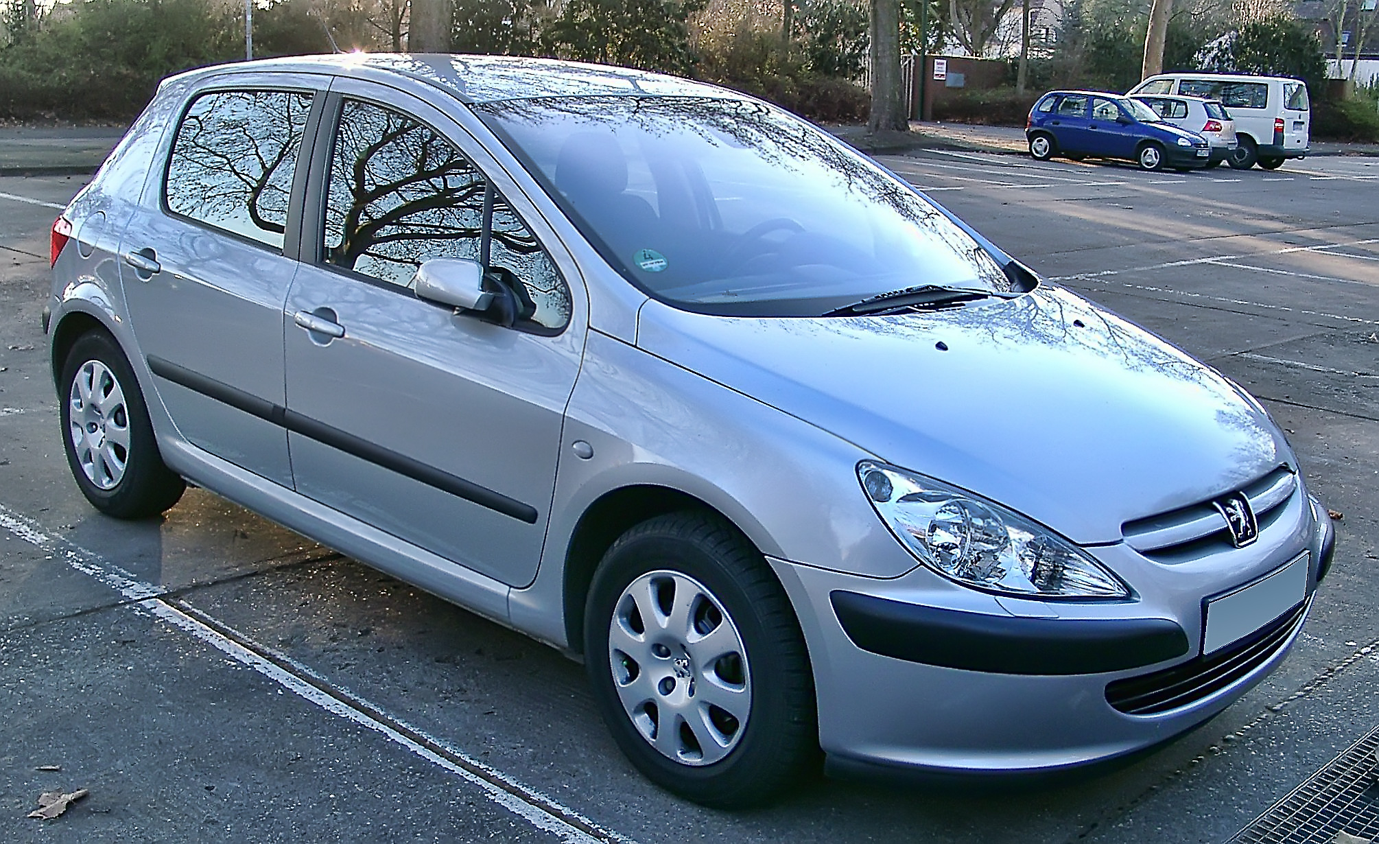 Peugeot 307 front 20071217