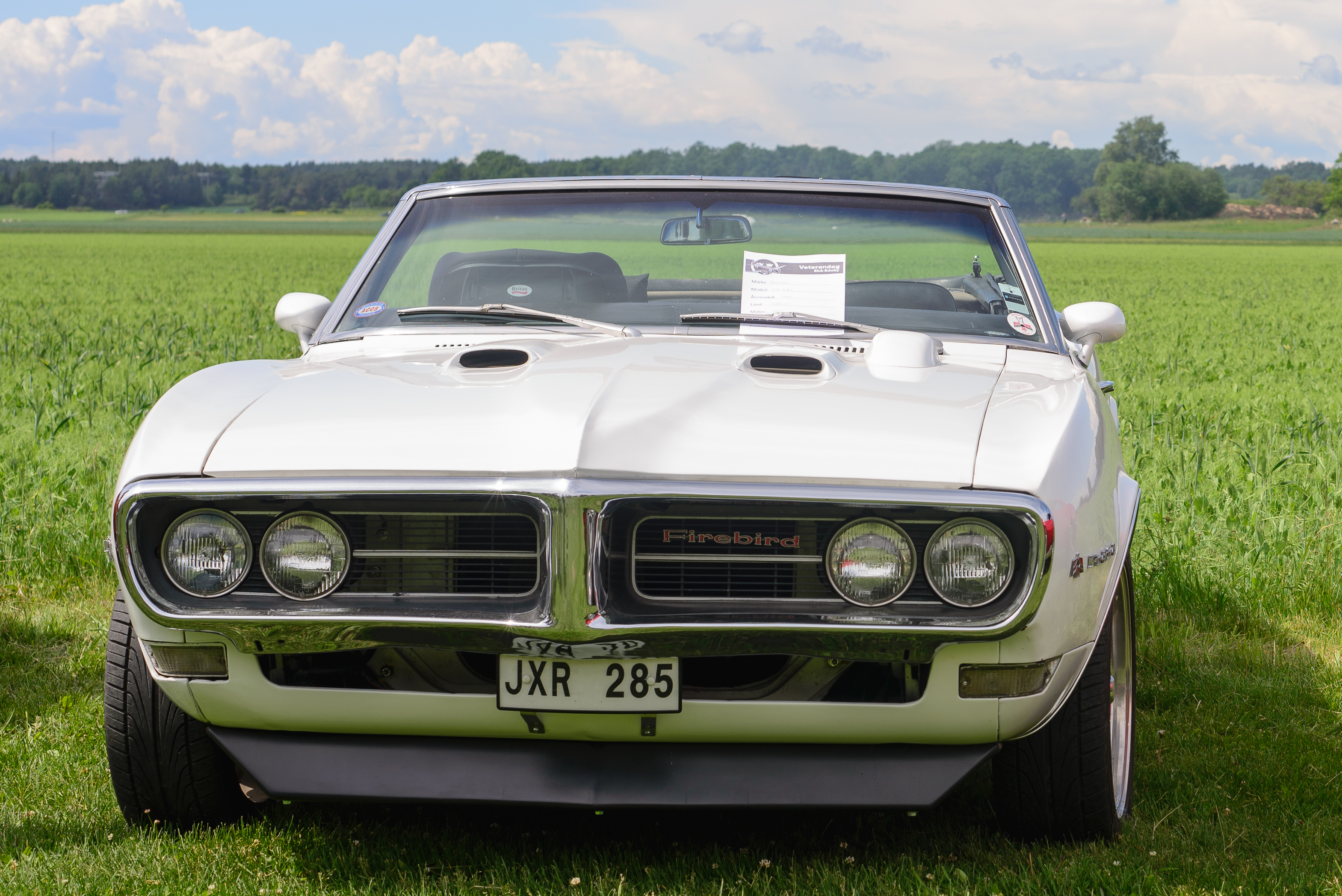 Pontiac Firebird June 2017 02