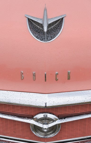 Buick 1956 Special emblems