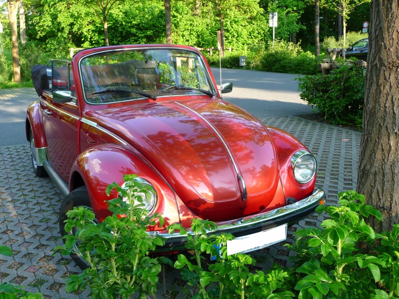 Cabrio Käfer 1303