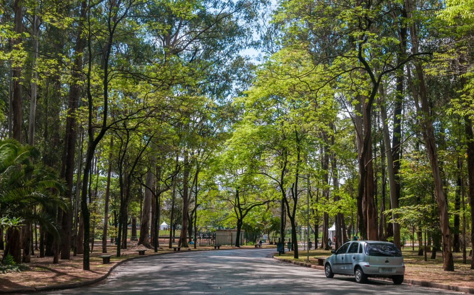 Ibirapuera Park in São Paulo