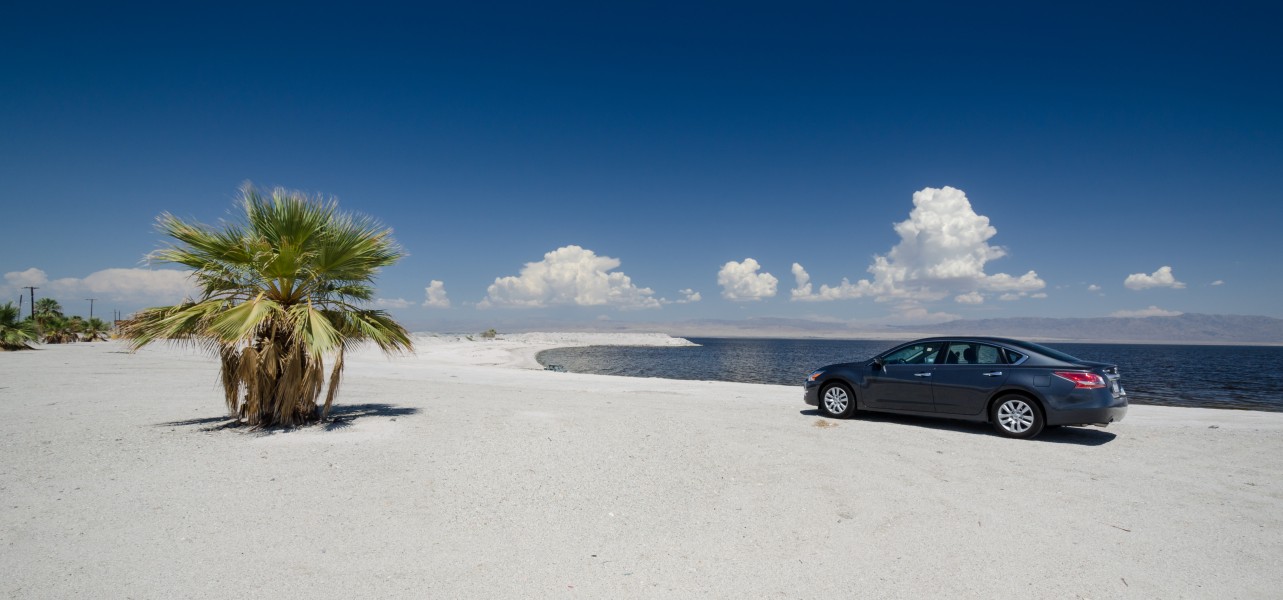 Nissan Altima at Salton Sea 2013