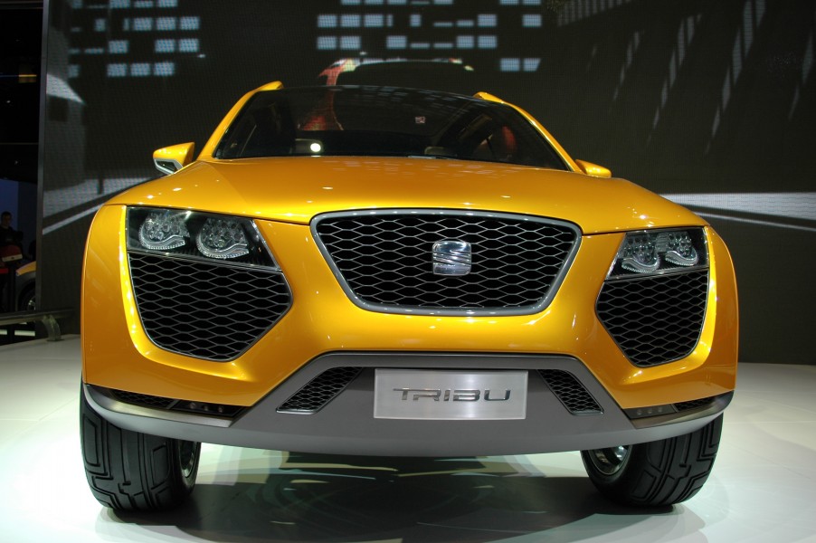 SEAT Tribu concept front view