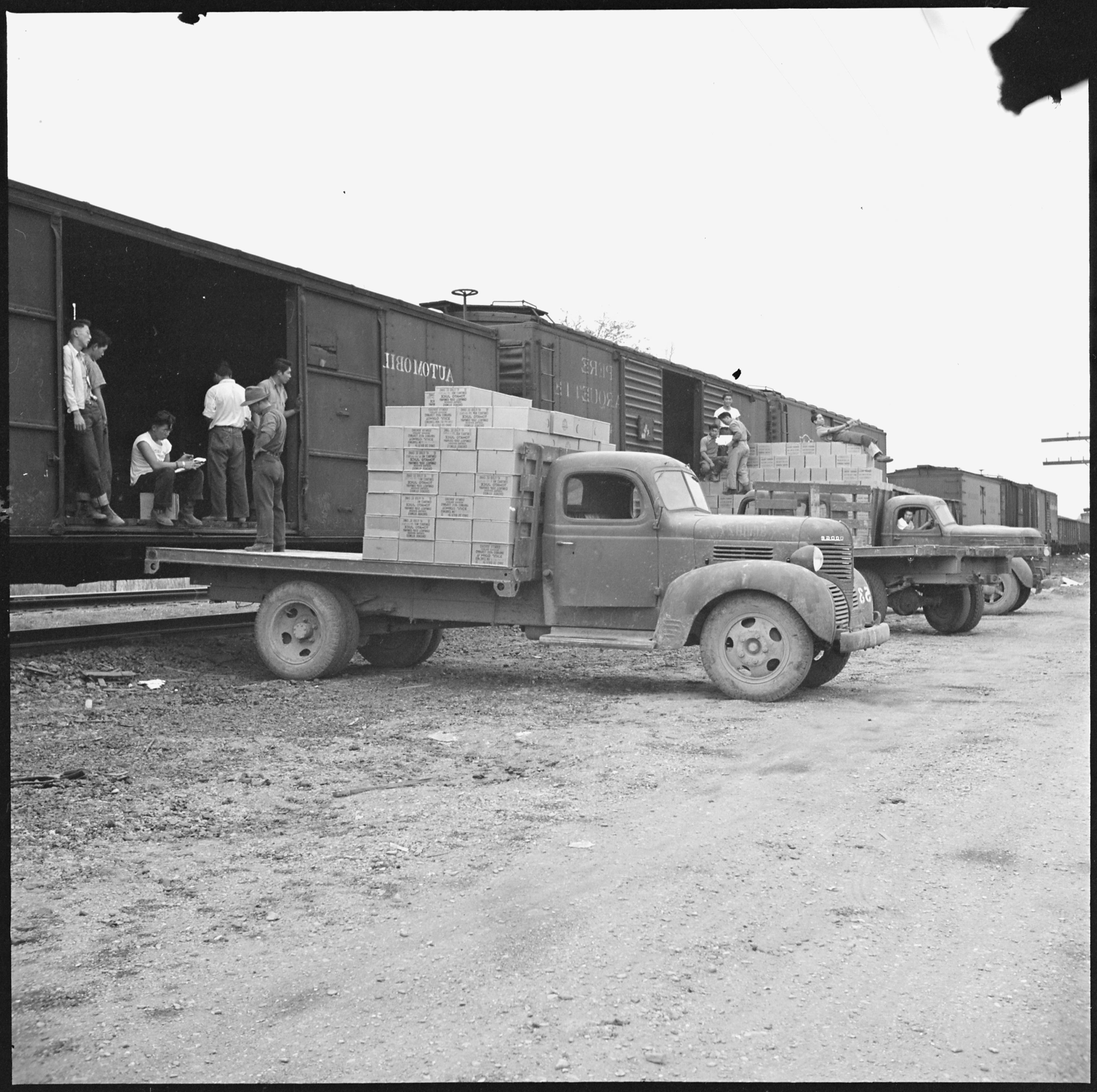 Rohwer Relocation Center, McGehee, Arkansas. Volunteer workers loading a truck from a boxcar for tr . . . - NARA - 538910