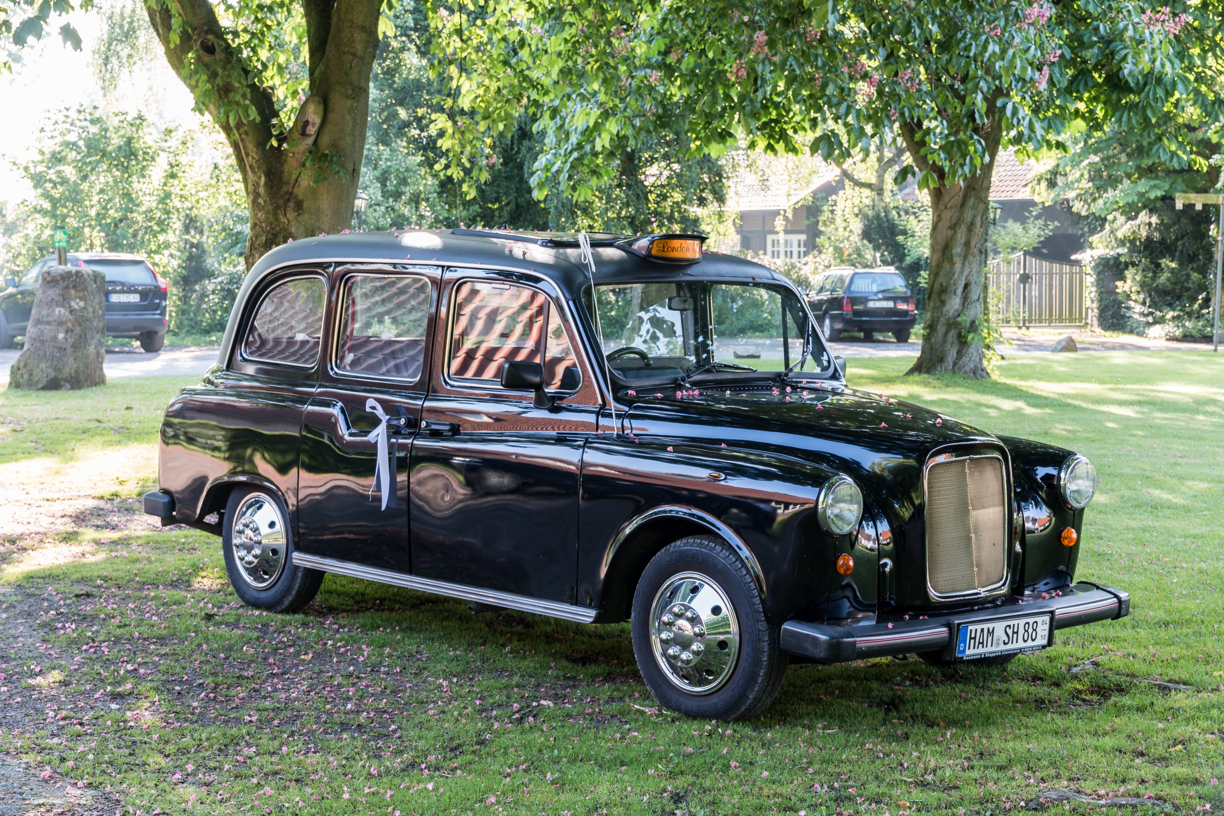 Dülmen, Karthaus, -London Taxi- -- 2014 -- 0228