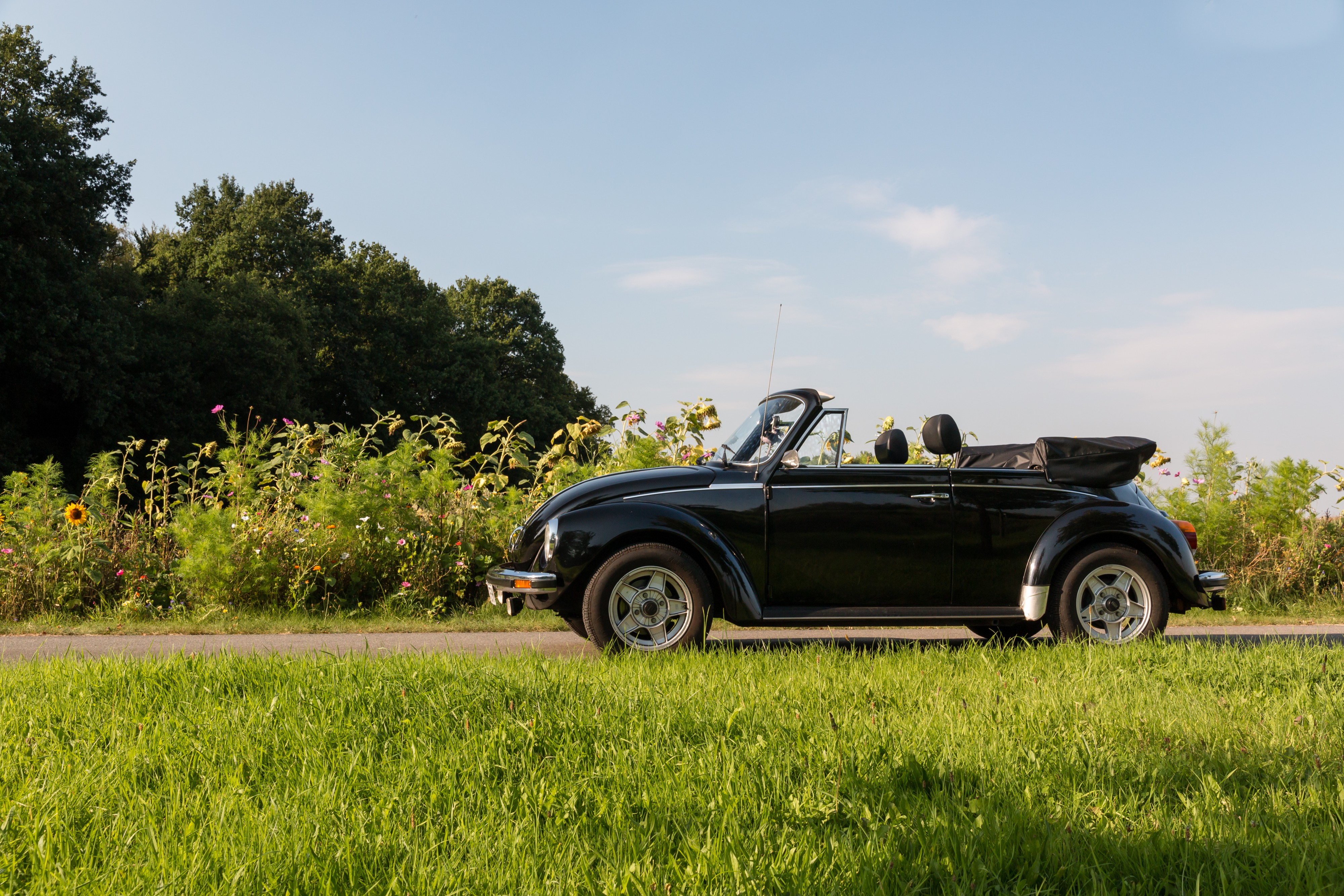 Dülmen, Kirchspiel, VW 1303 -- 2017 -- 2279