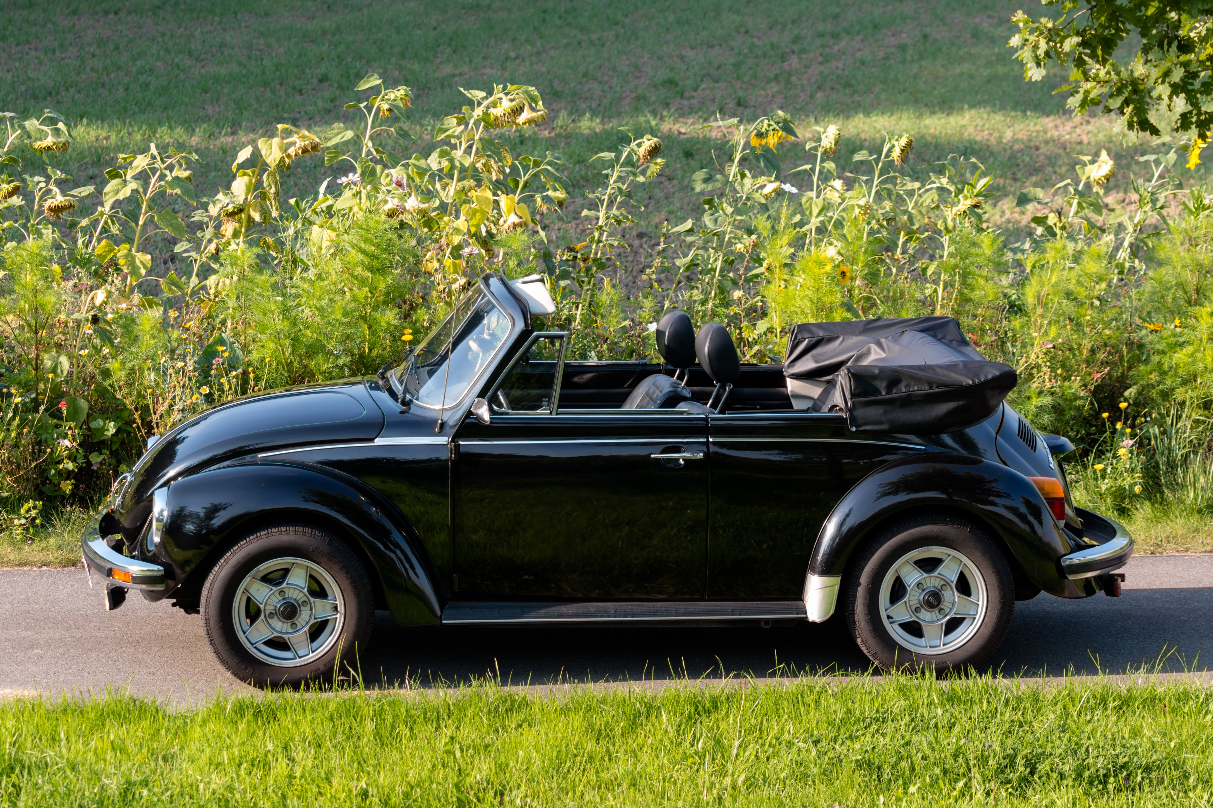 Dülmen, Kirchspiel, VW 1303 -- 2017 -- 2285