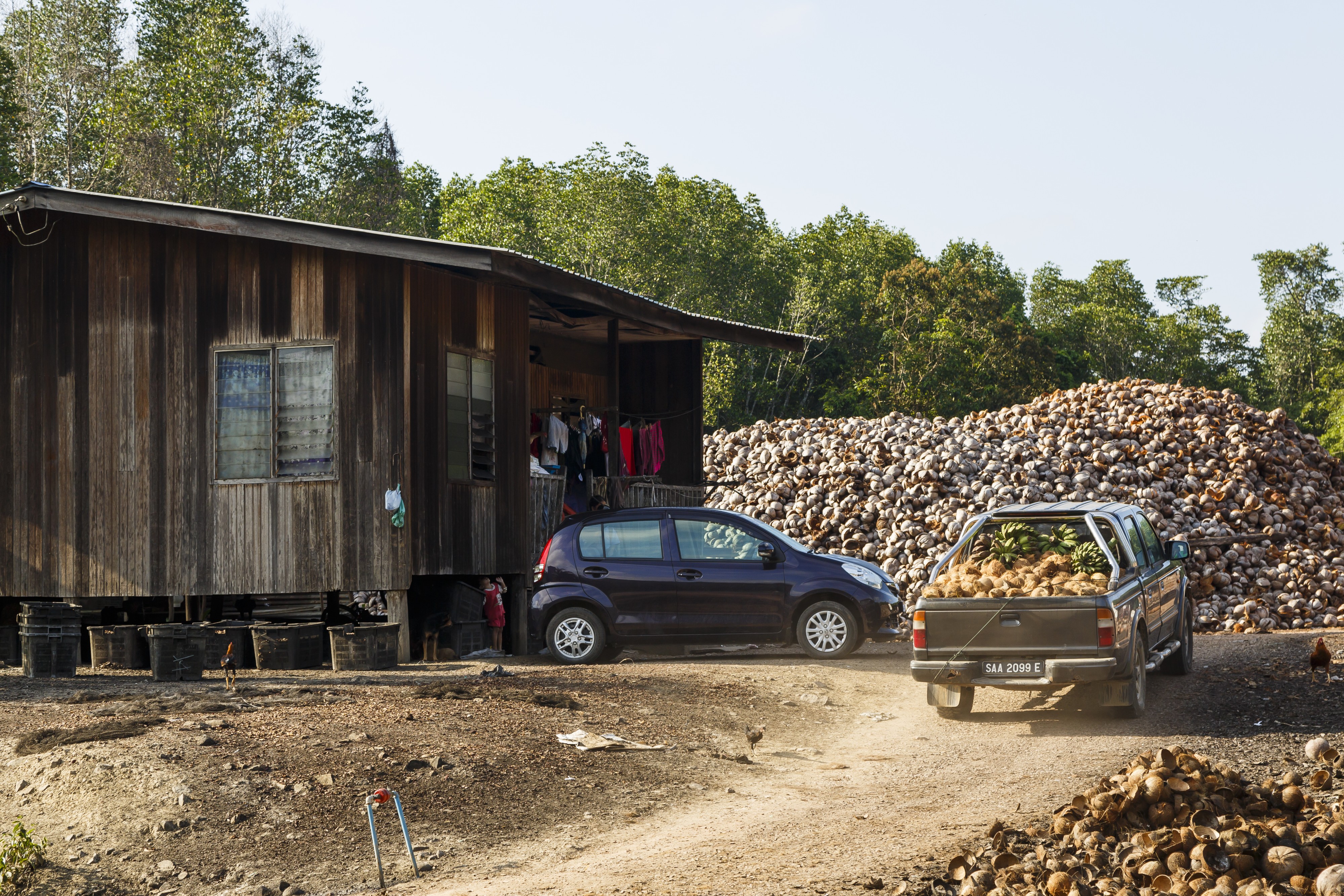 Kudat Sabah Coconut-Collection-and-Processing-Centre-03