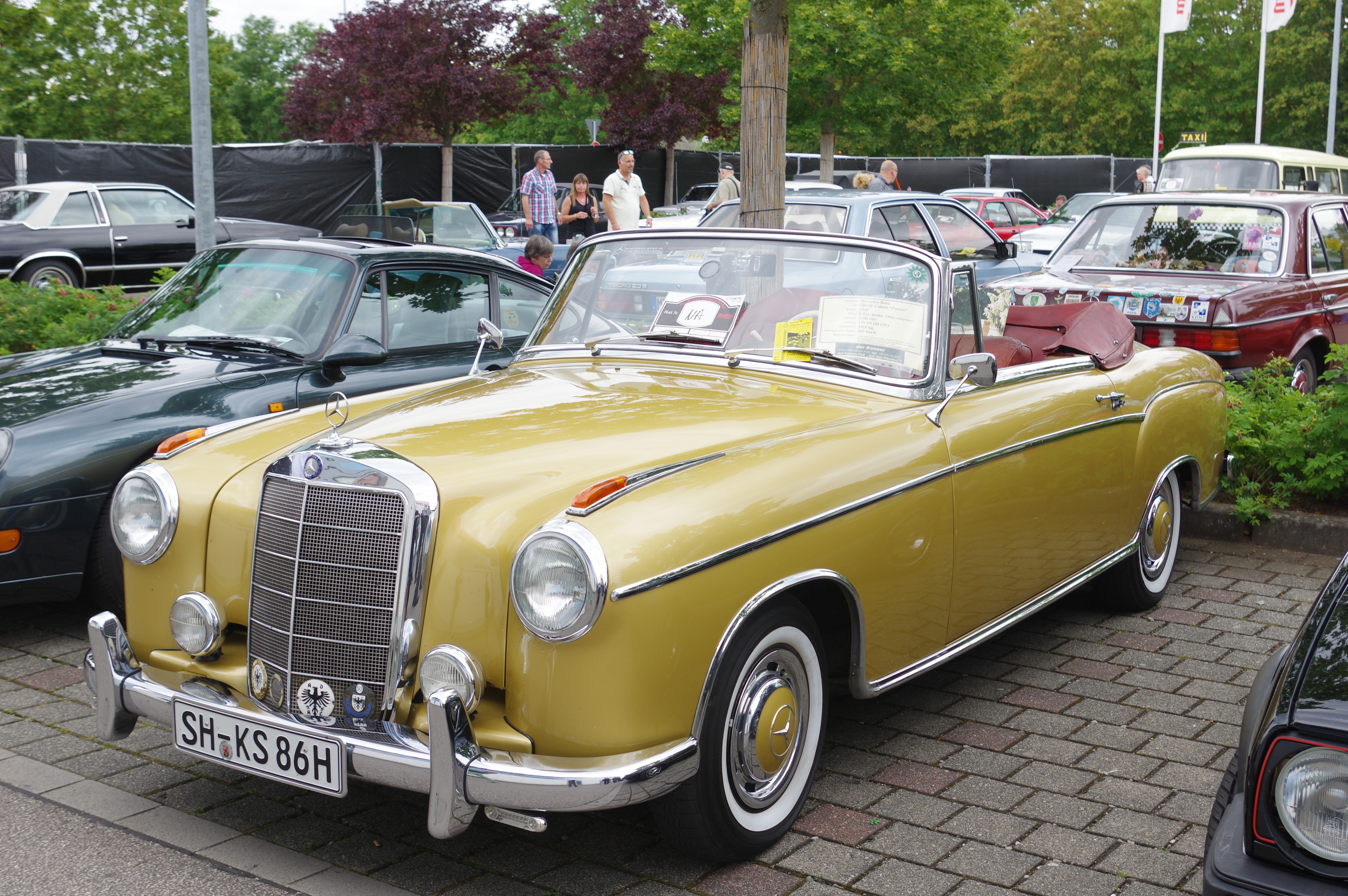 Mercedes Benz W 180 BW 2016-07-17 13-04-08