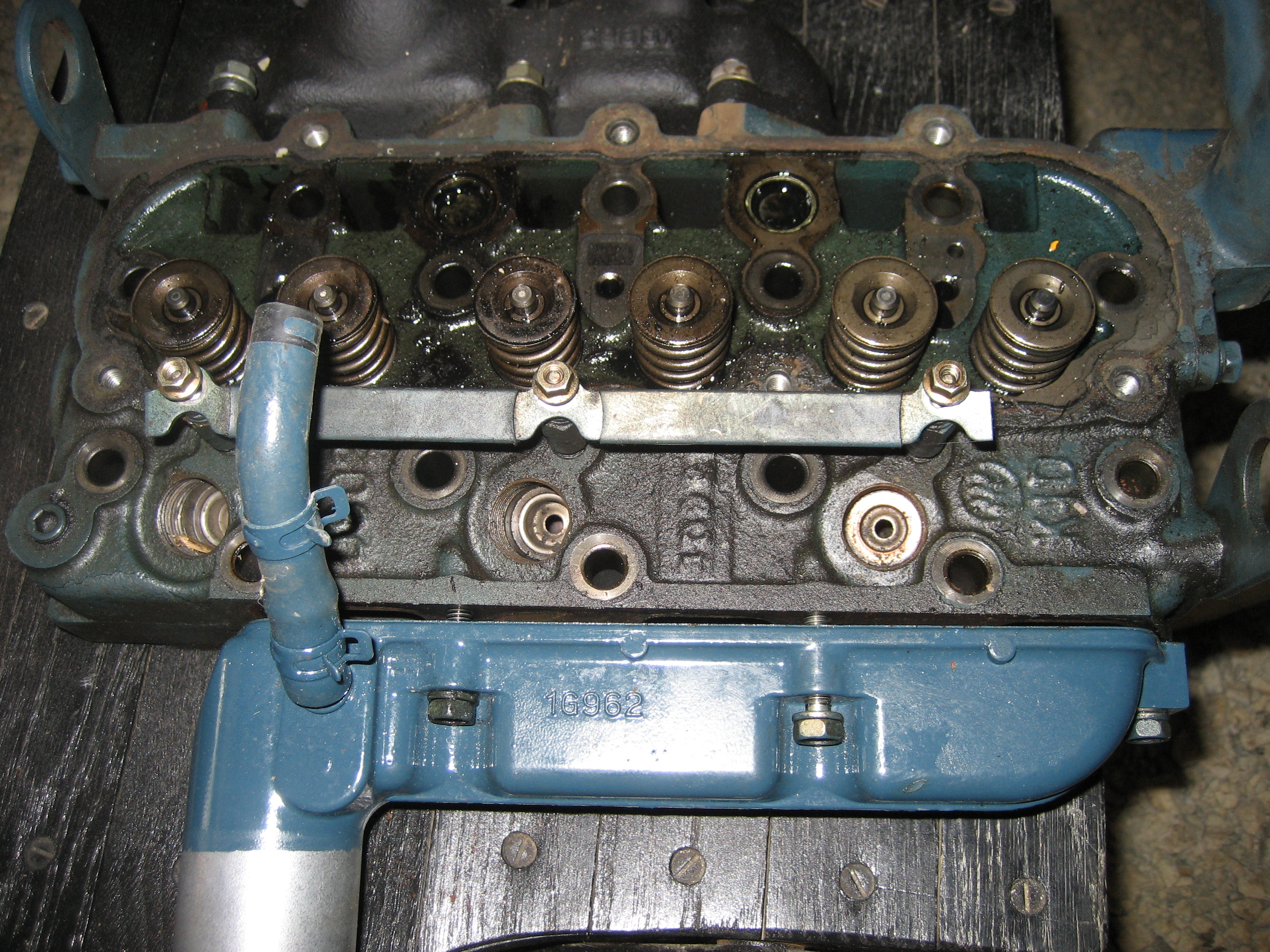 Top of head
