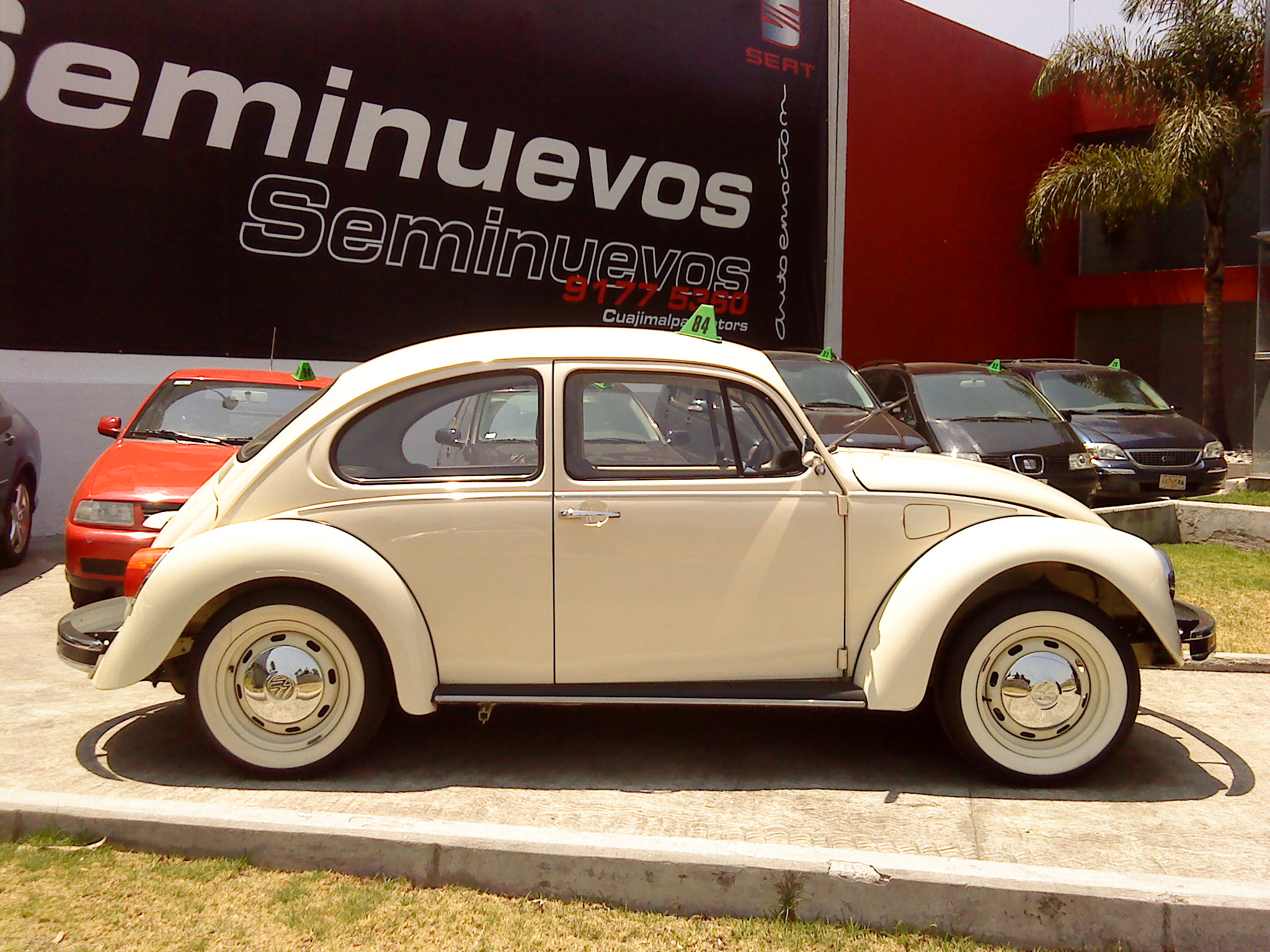 Volkswagen Sedan Ult Edic Beige