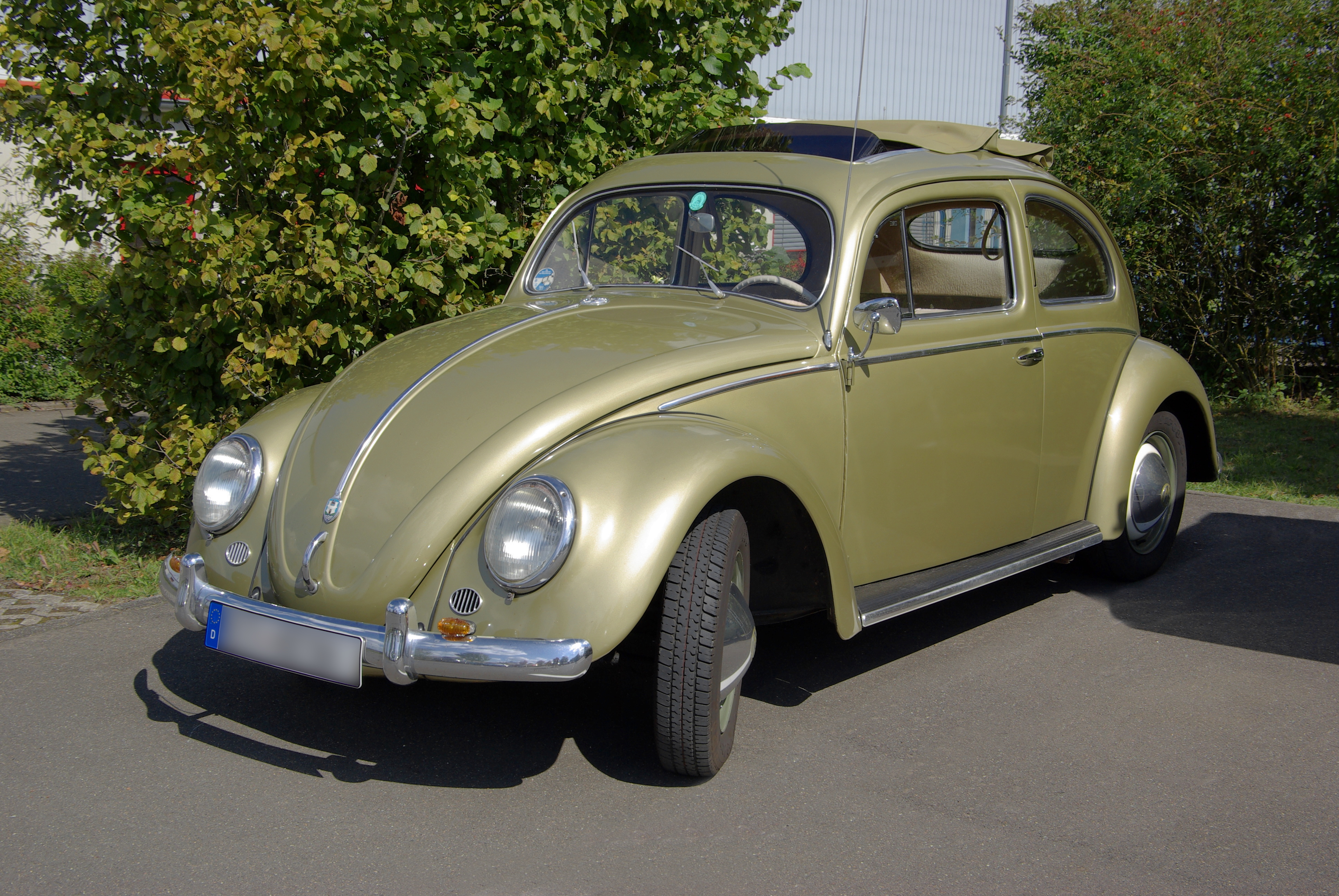 VW Käfer BW 2011-09-03 13-58-19
