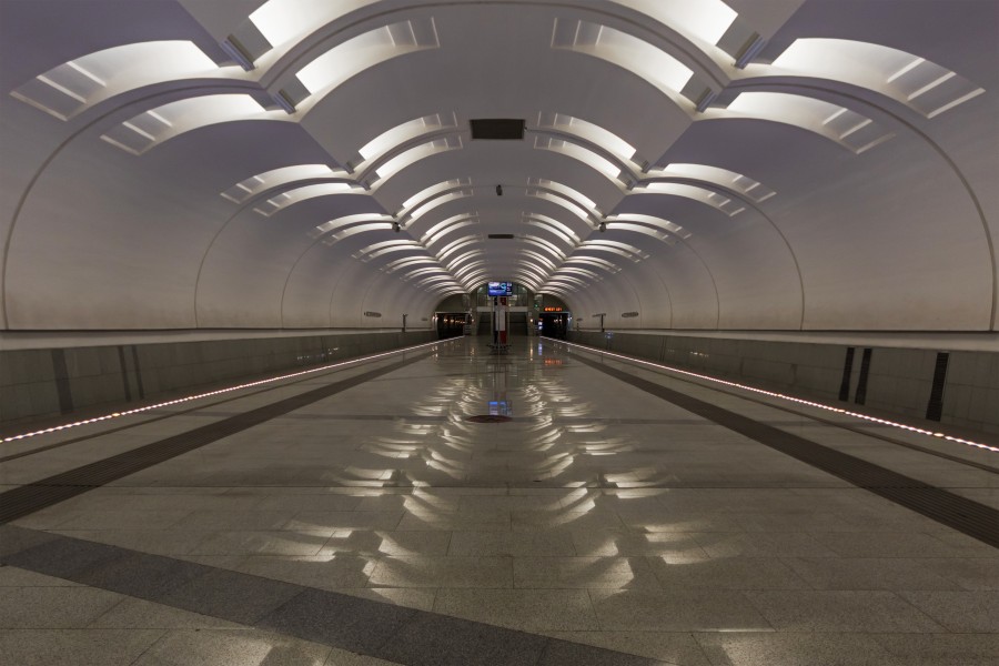Lesoparkovaya MosMetro station 01-2015