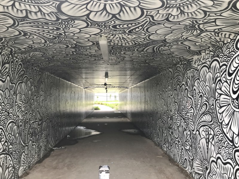 Subway (underpass) in Robina, Queensland 01