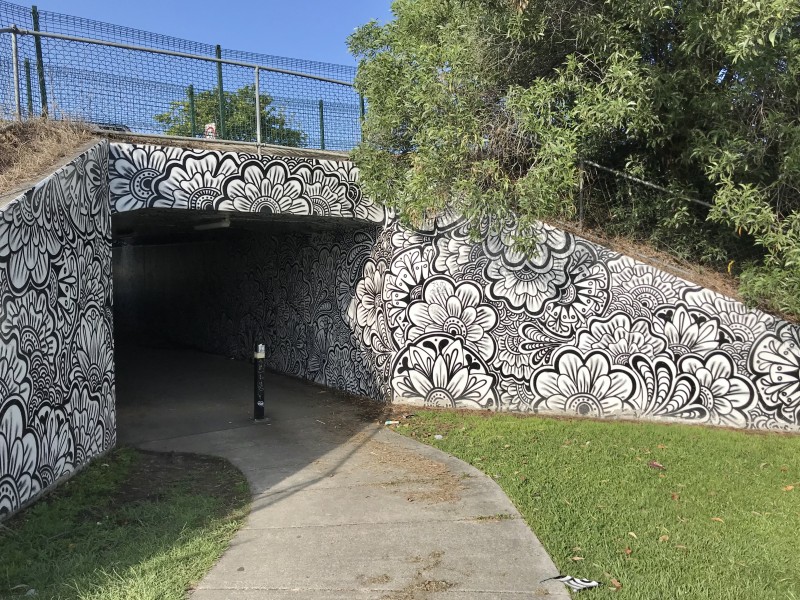 Subway (underpass) in Robina, Queensland 02