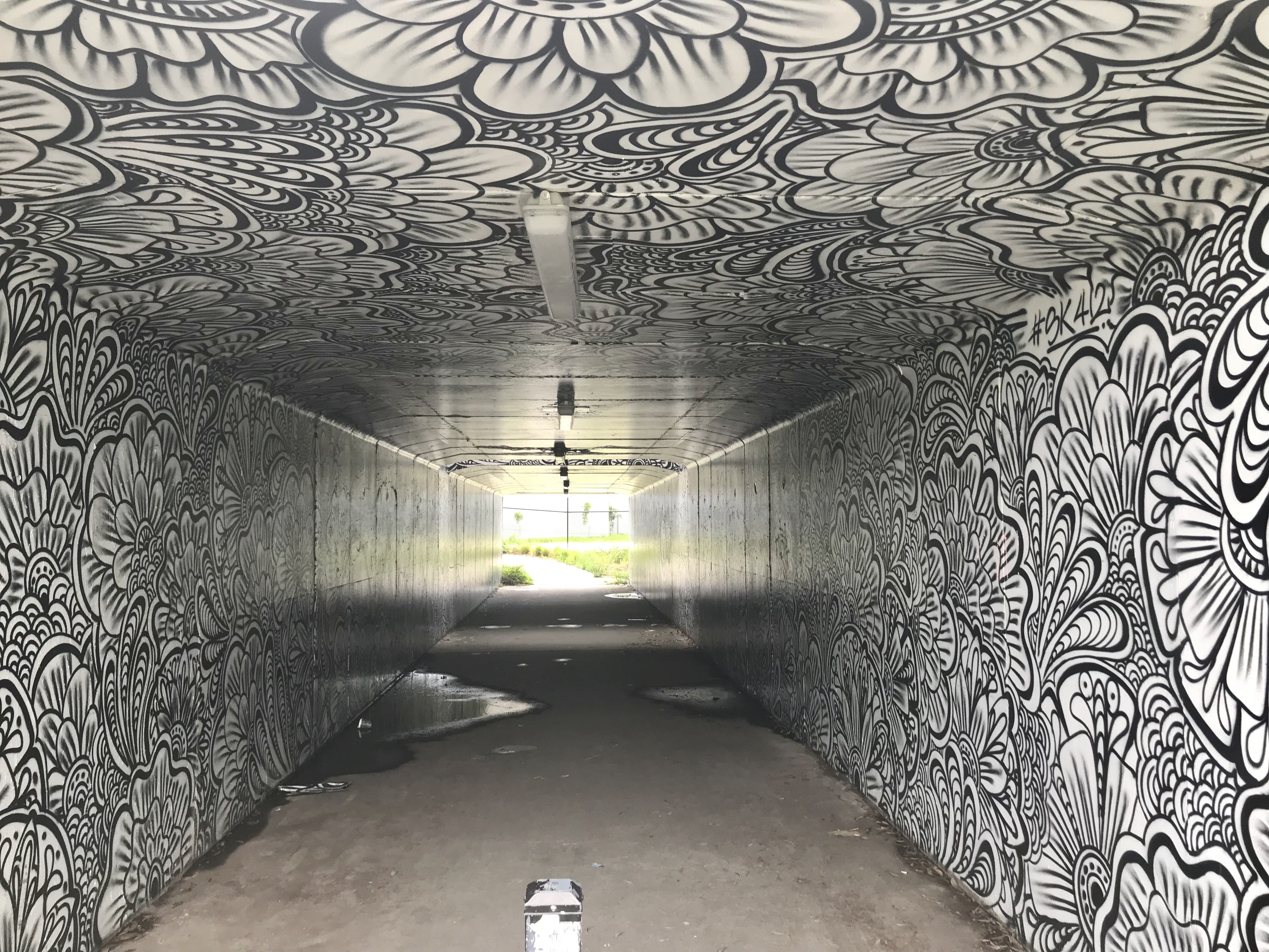 Subway (underpass) in Robina, Queensland 01