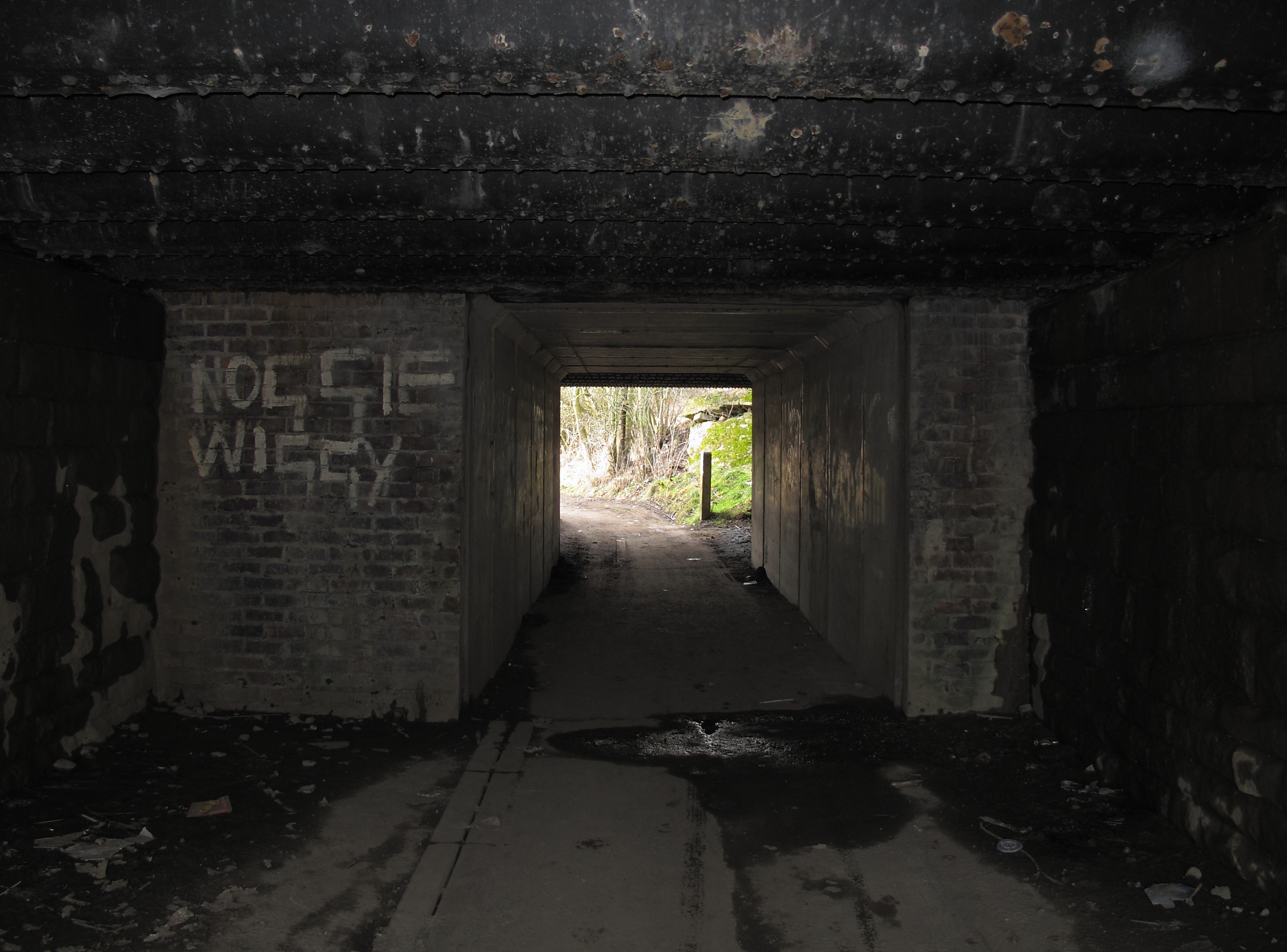 The Subway,Mill Lane,Grassmoor (4318468723)
