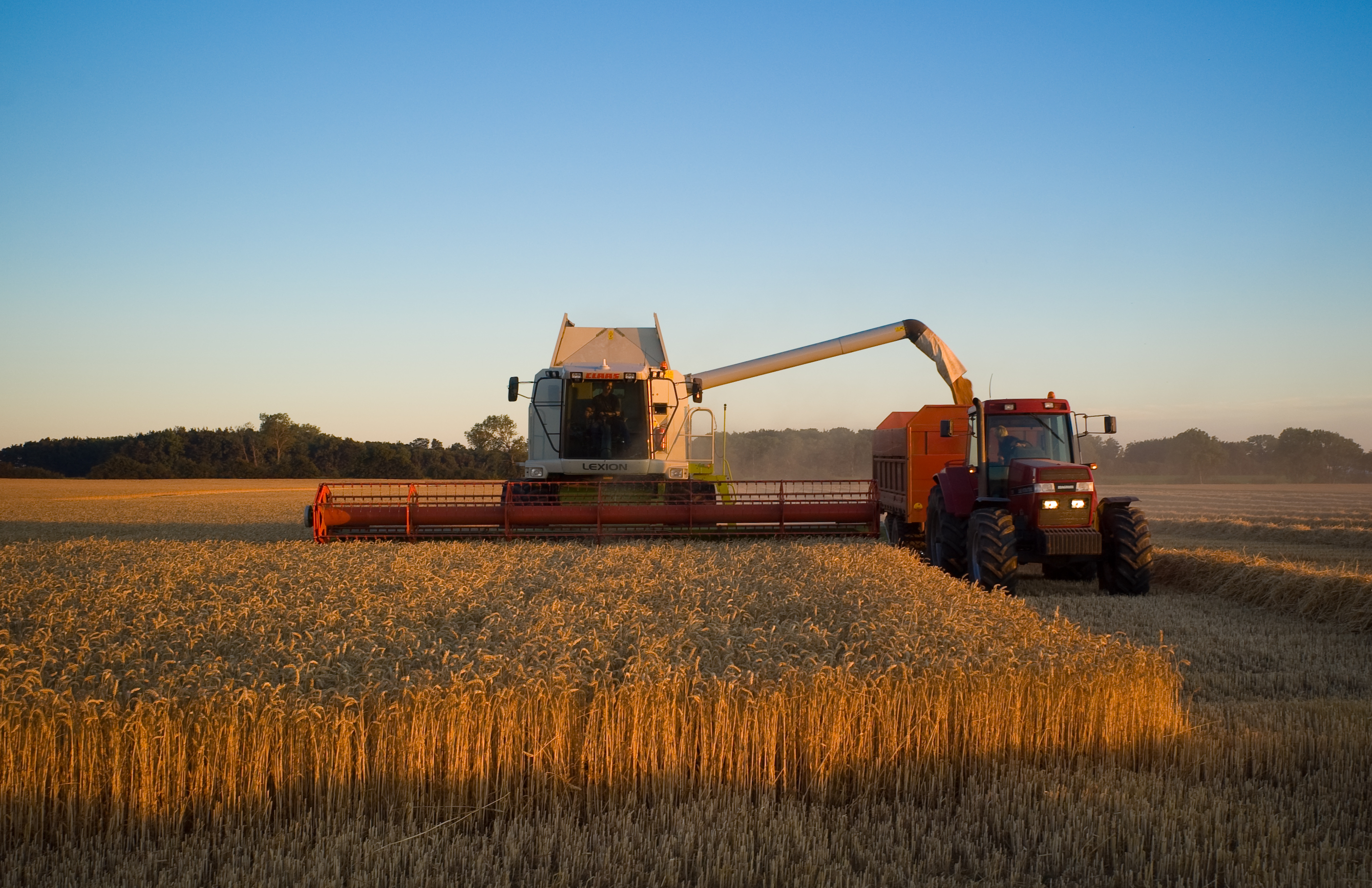 Claas combine in Denmark