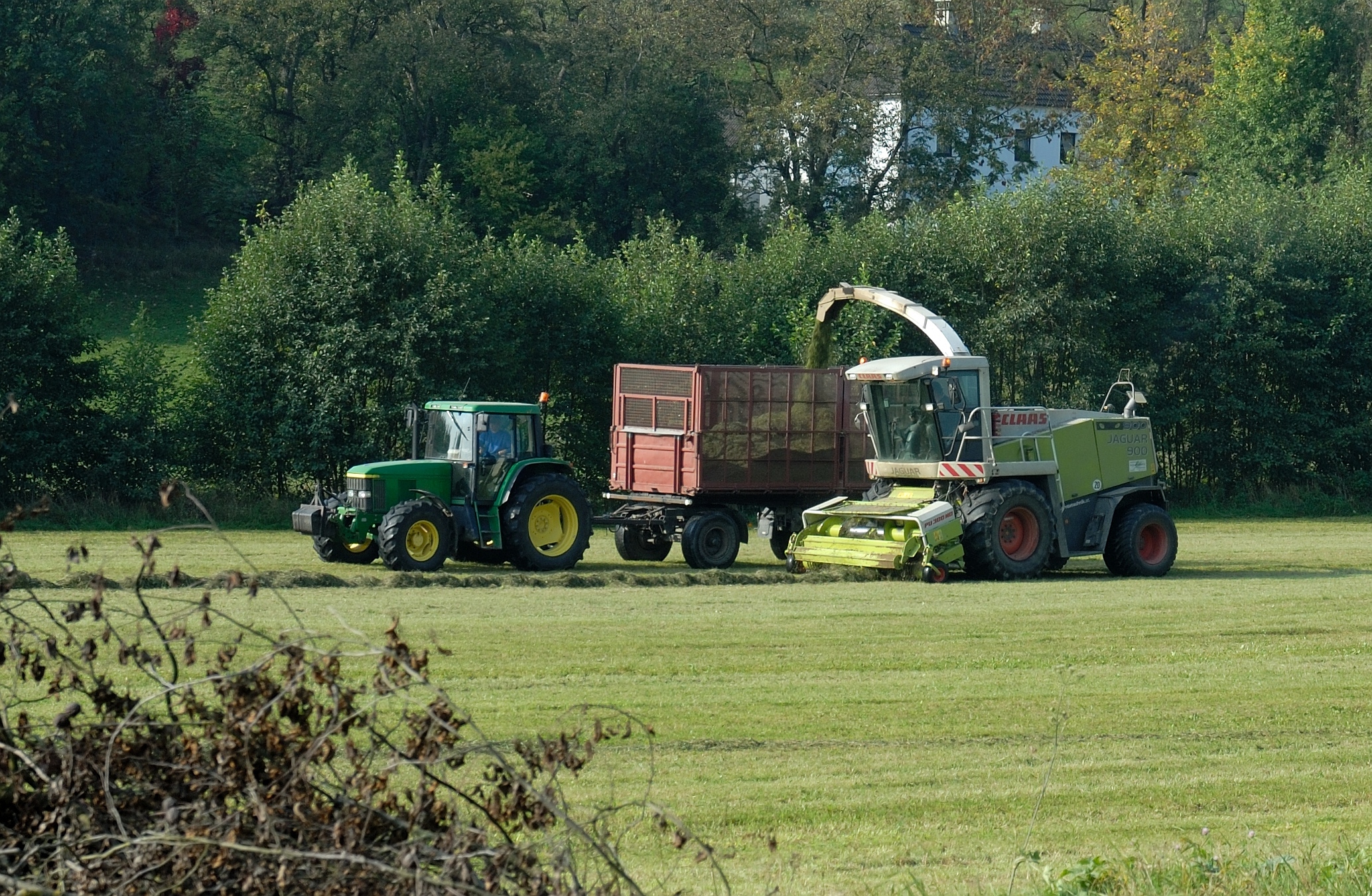 Feldhaecksler bei Silofuttererzeugung DSC 0001w
