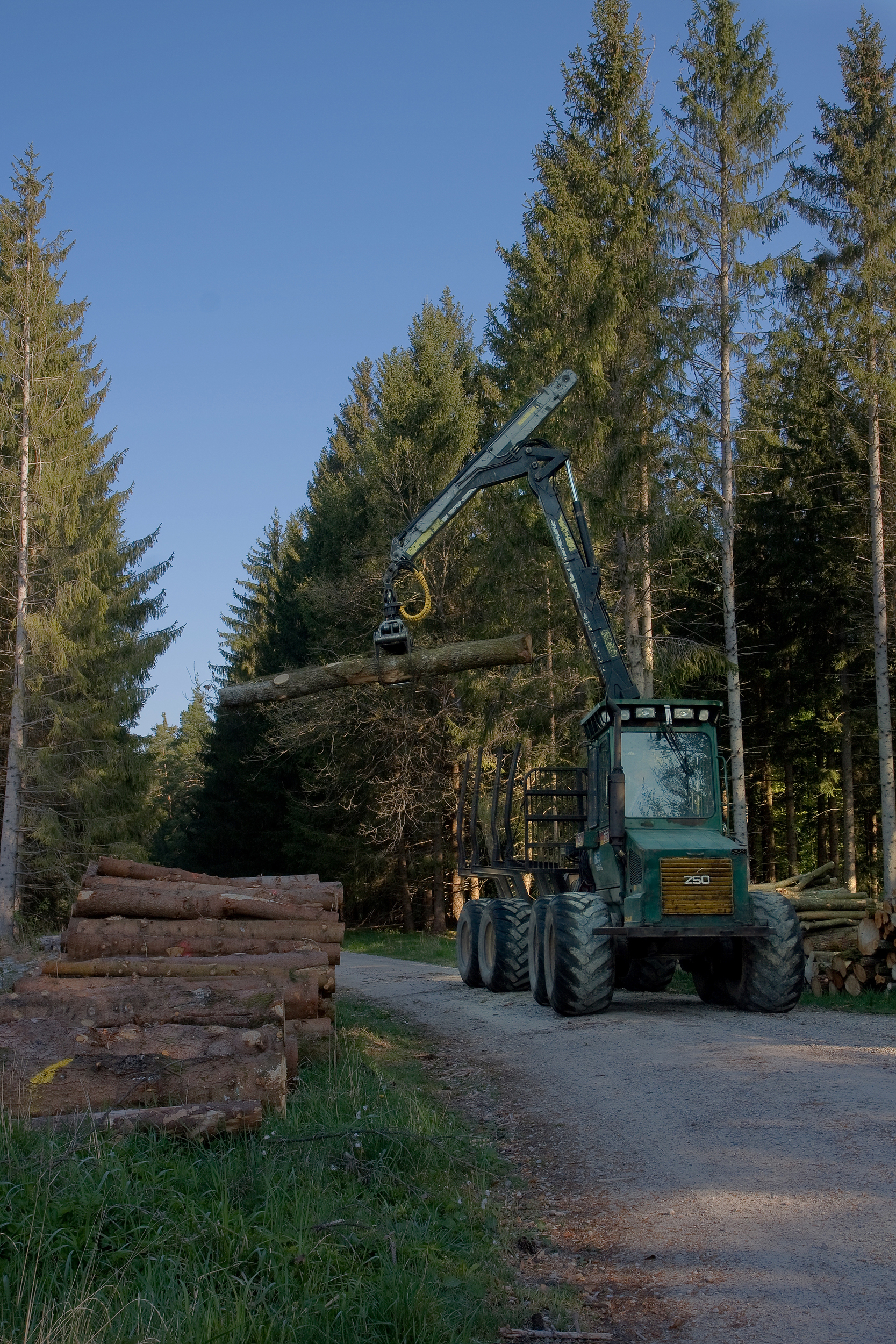 Forestry Forwarder Ösa 250