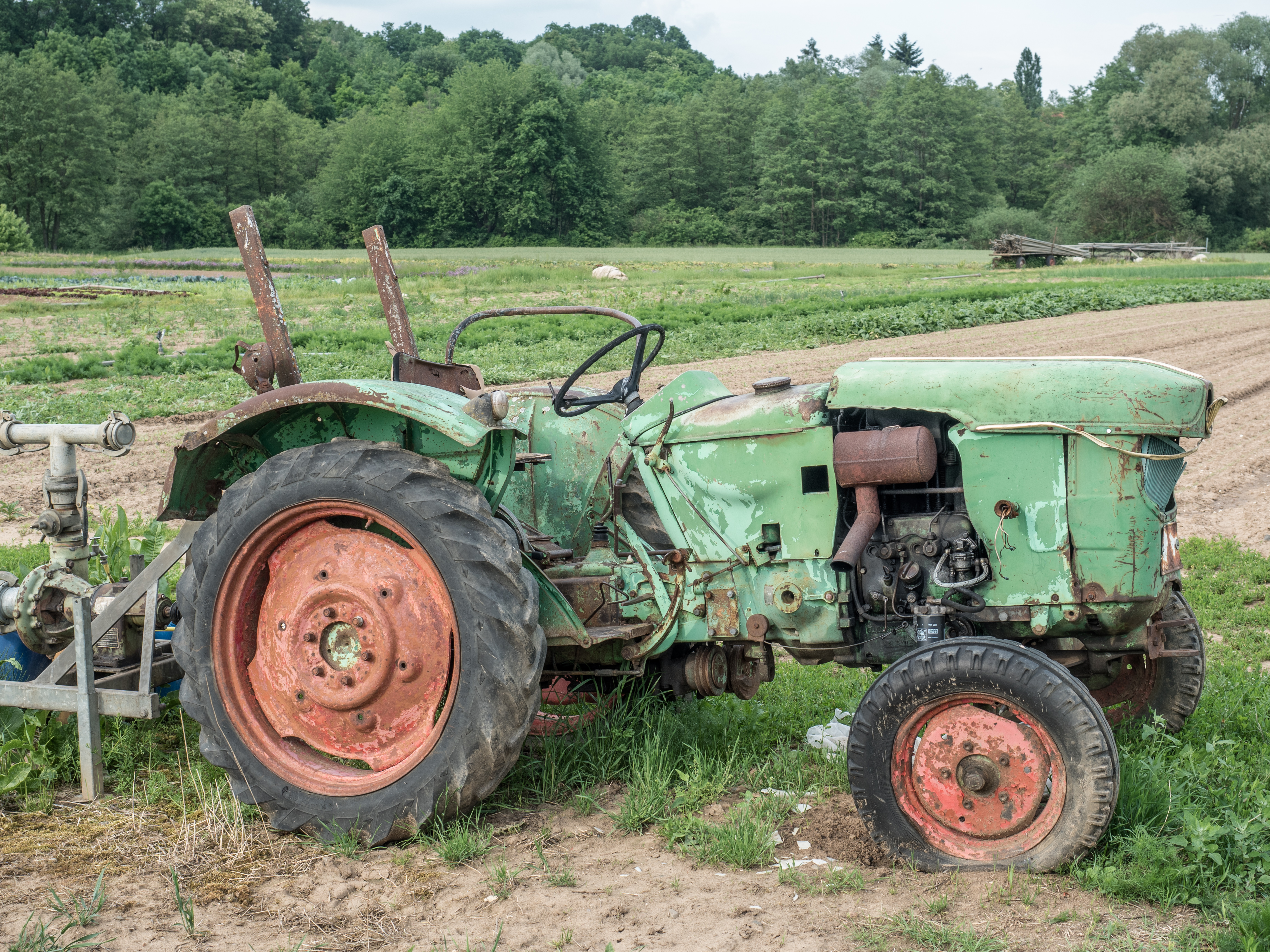 Hallstadt-Deutz-Tractor-Wreck-P5285037