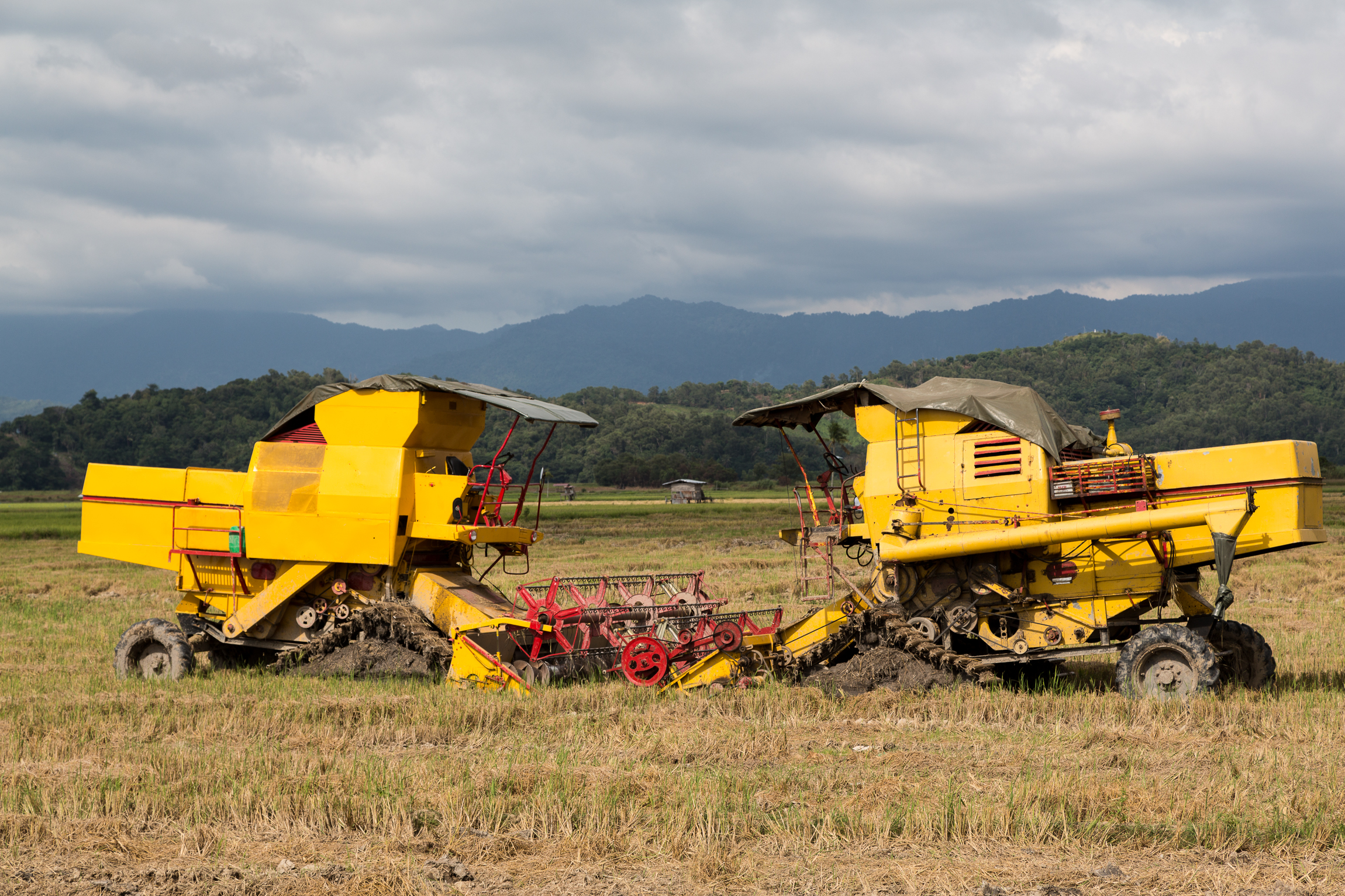 KotaBelud Sabah Rice-Harvesting-machine-01