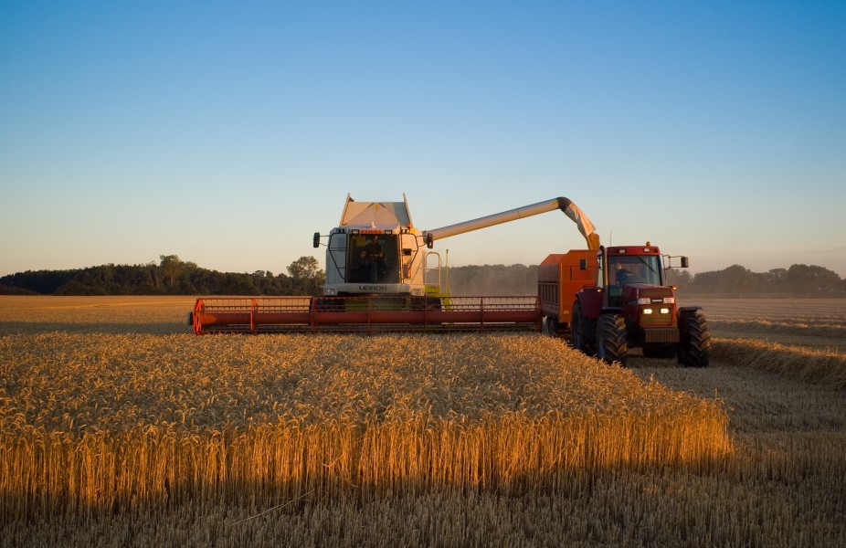 Claas combine in Denmark