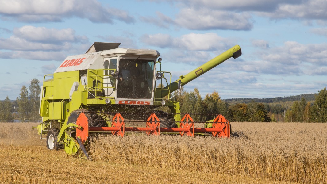 CLAAS Dominator 96 Västerby 03b