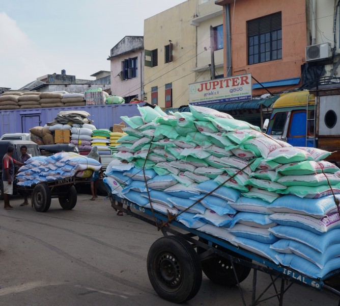 Colombo le marché aux légumes (15)