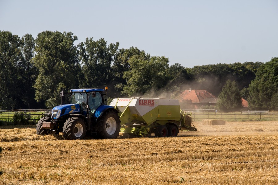 Dülmen, Umland, Feld -- 2012 -- 7