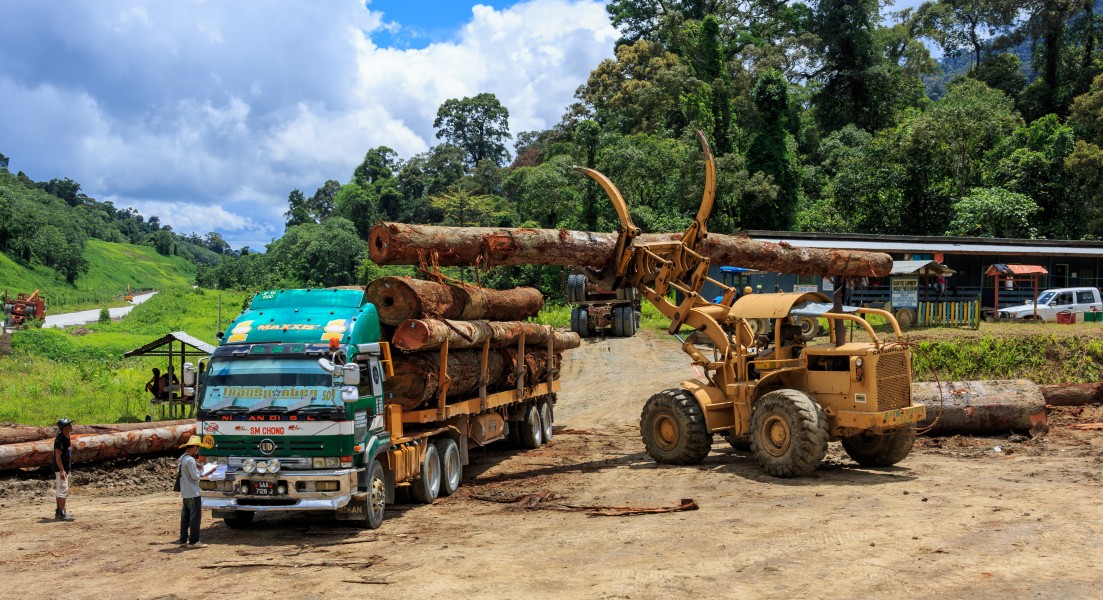 District-Tawau Sabah Logging-Camp-01