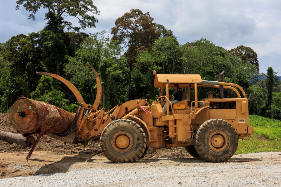 District-Tawau Sabah Logging-Camp-04