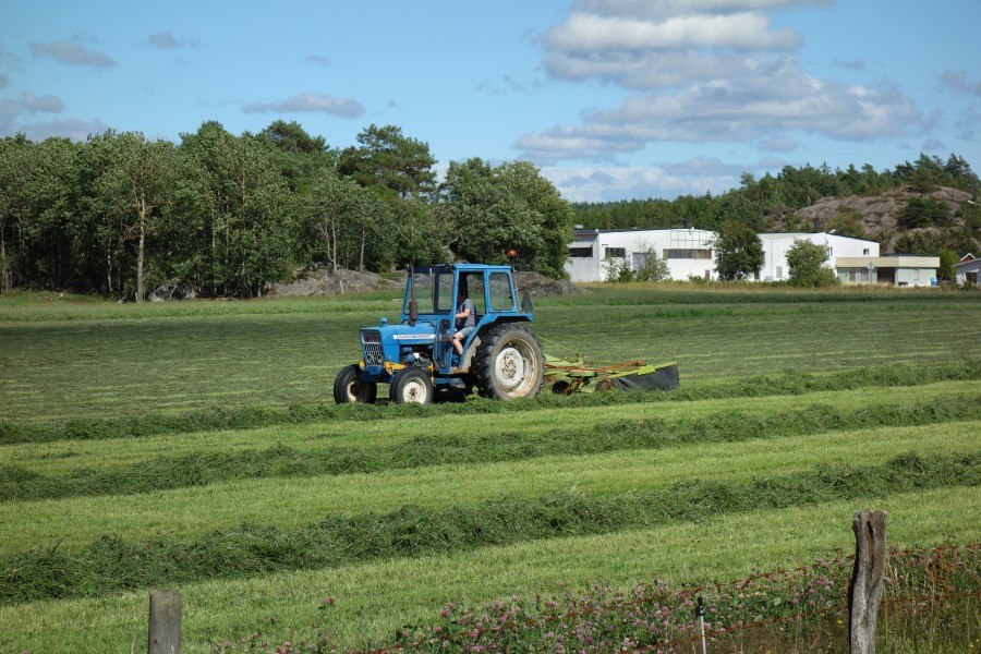 Farmer gathering grass for silage