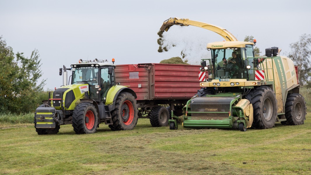 Grassilage machen- Krone BigX 600 Feldhächsler und Claas 820 Axion Traktor mit Hänger(n)
