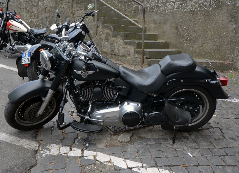 Harley-davidson 