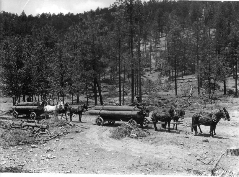 Hauling Logs - 1924 (5375551155)