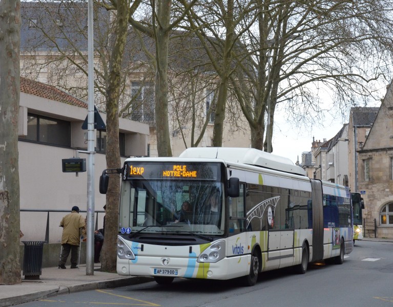 Irisbus Citelis 18 n°165 VITALIS Pôle Notre-Dame