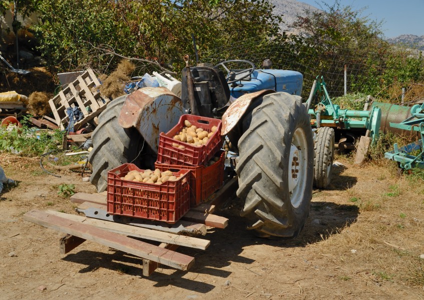 Kreta - Traktor