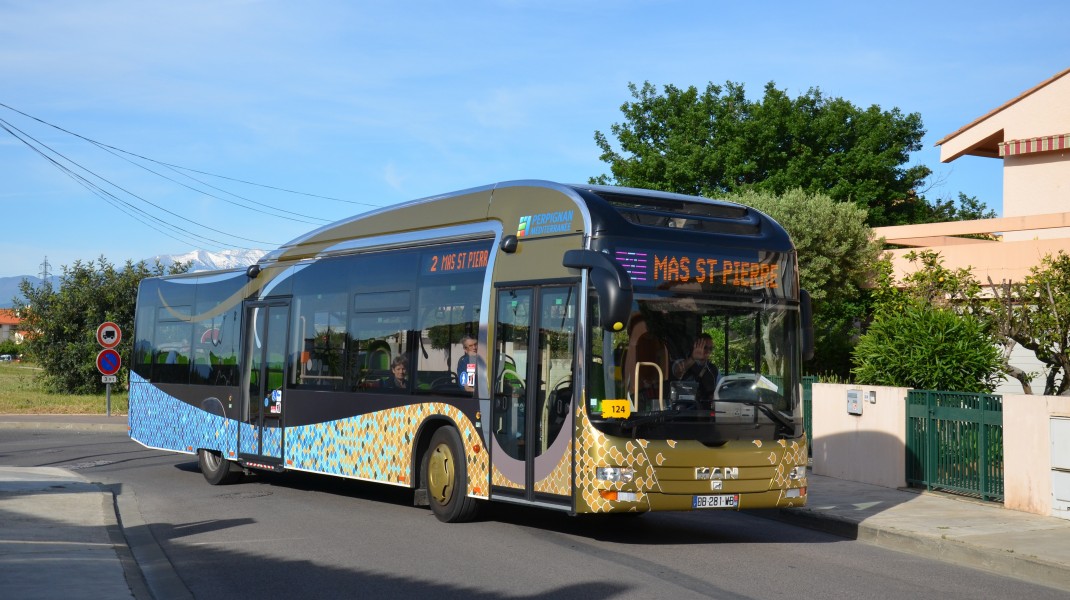 MAN Lion's City Hybrid n°124 Reichel CTPM - Florian Fèvre