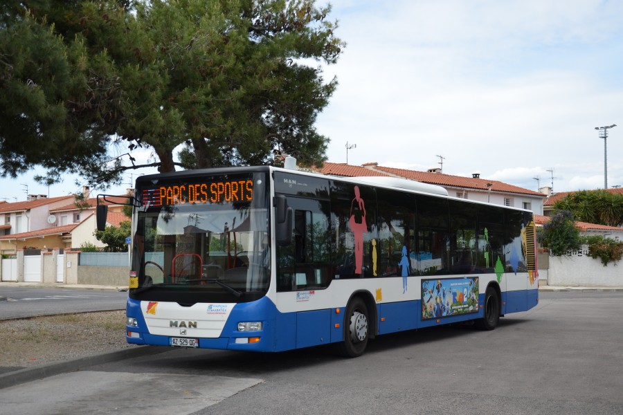 MAN Lion's City n°96 CTPM