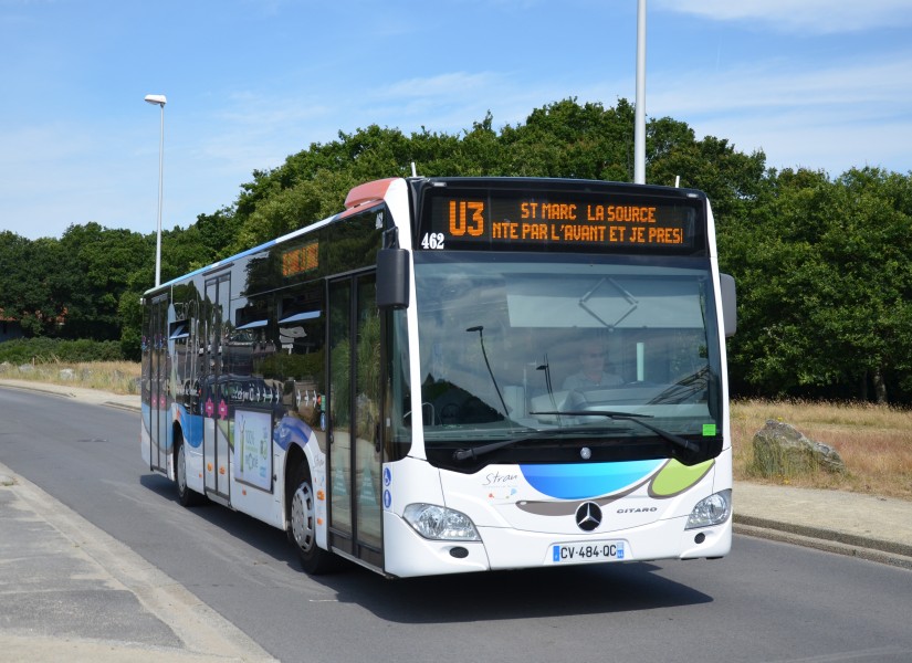 Mercedes Citaro C2 n°462 Université STRAN