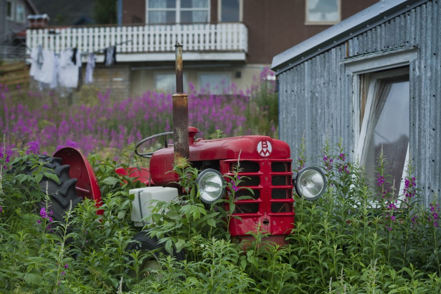 Old red tractor in Mefjordvær, Senja, Troms, Norway, 2014 August