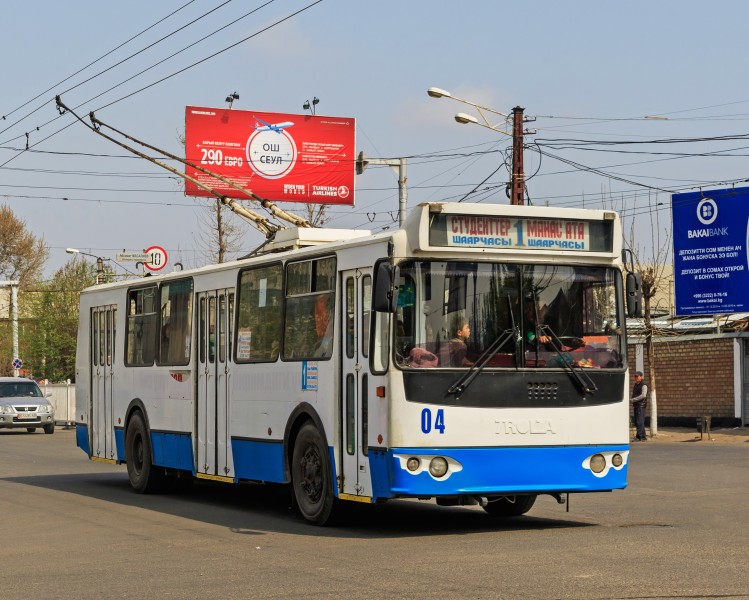 Osh 03-2016 img13 trolley