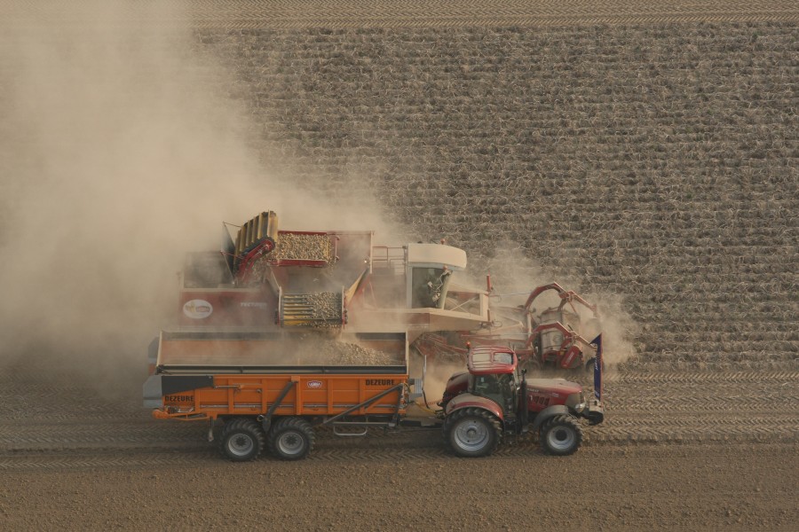Potato harvest 3965299525 eaaff615c9 b