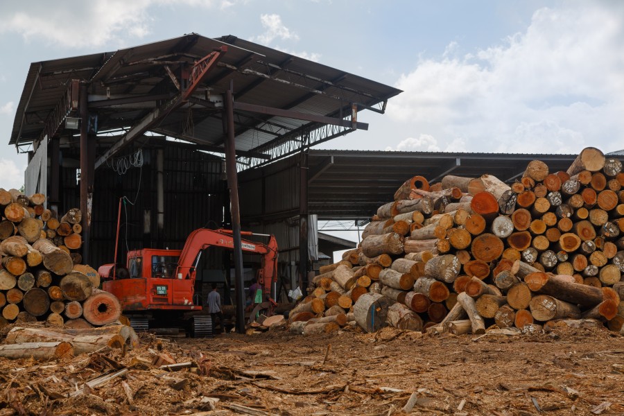 Sandakan Sabah Plywood-Factory-12a