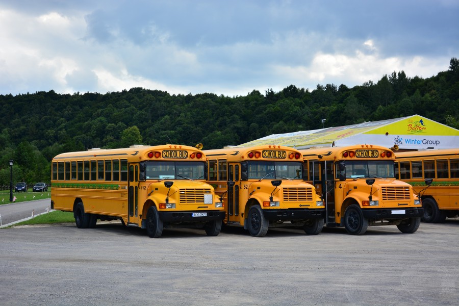School buses of Bałtów Jurassic Park