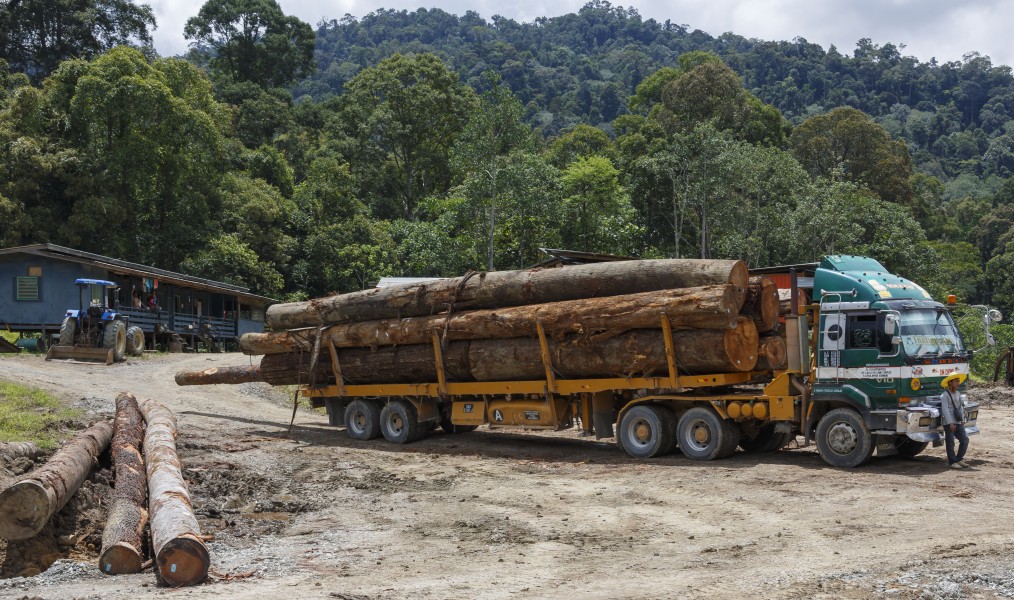 Tawau-District Sabah Logging-Camp-08