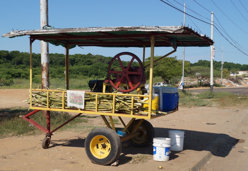 Venta de caña de azúcar III