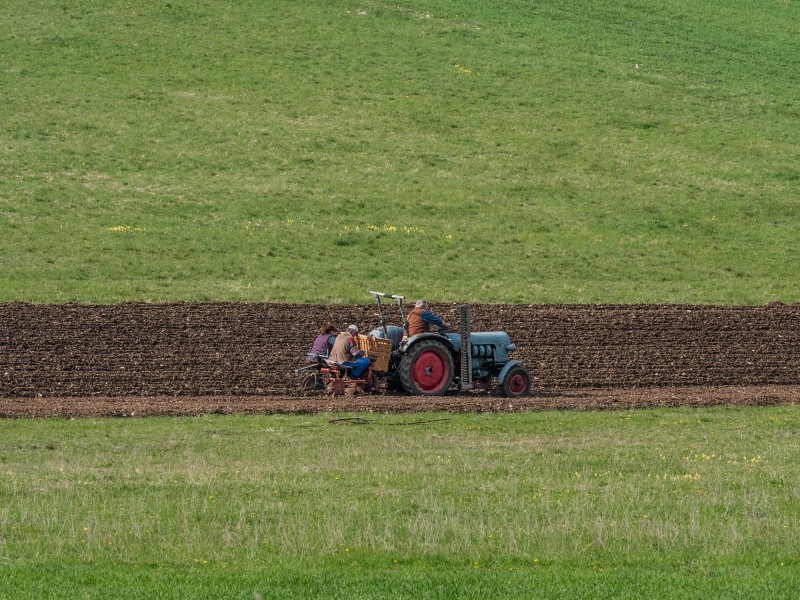 Walberla-Eicher-Traktor-4234890