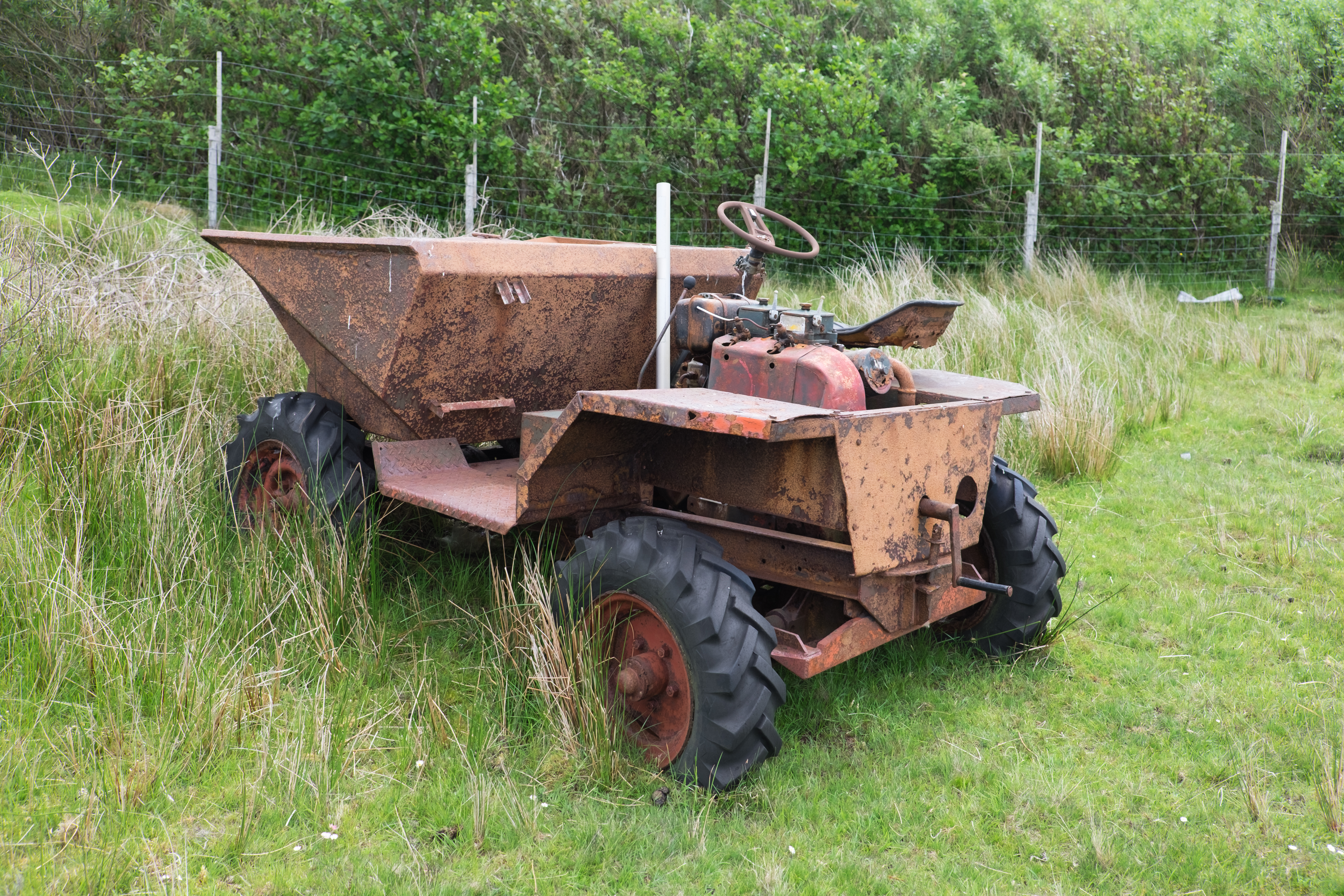 Rusty dumper